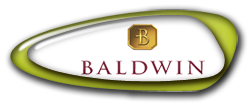 logo-image